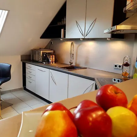 Apartamento Appartment Doellinger Schaftnach Naehe Messe *